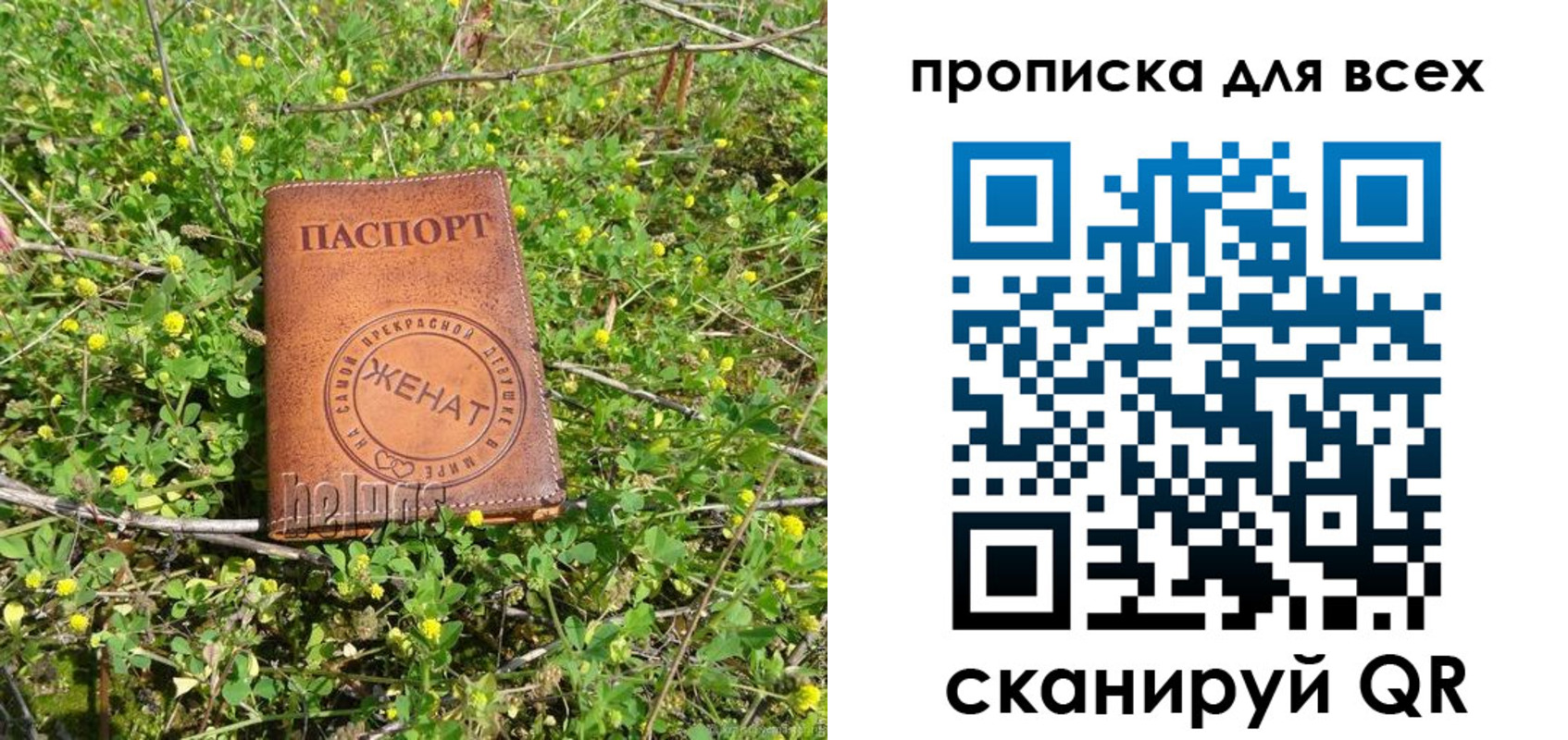 прописка поиск в Казани